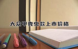 大众甲壳虫2024款上市价格