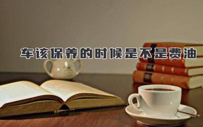 车该保养的时候是不是费油