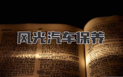风光汽车保养