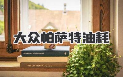 大众帕萨特油耗