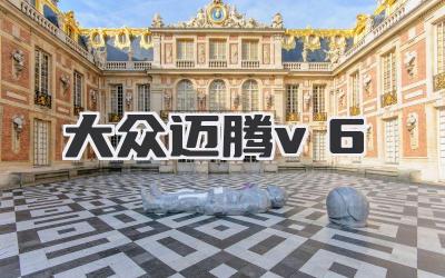 大众迈腾v6