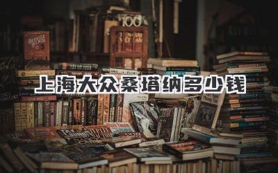 上海大众桑塔纳多少钱