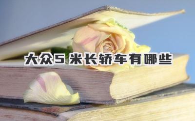 大众5米长轿车有哪些