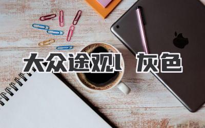 大众途观l灰色