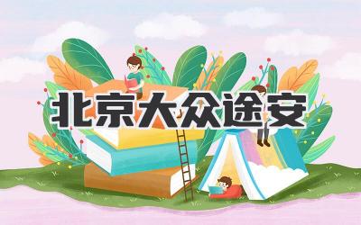 北京大众途安