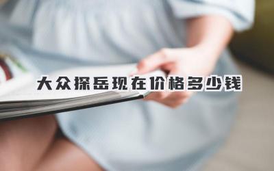 大众探岳现在价格多少钱