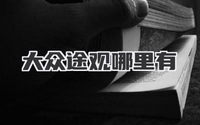 寻找心仪座驾:大众途观在哪儿?-买车记