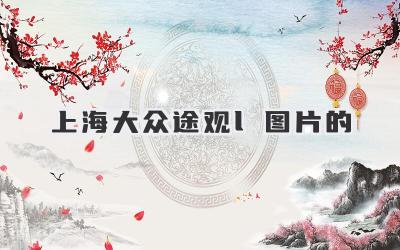 上海大众途观l图片的