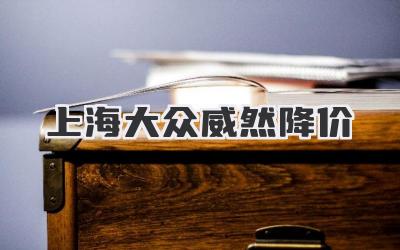 上海大众威然降价