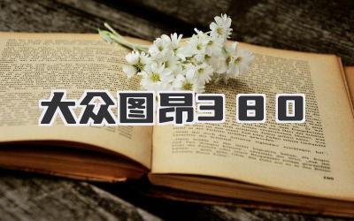 大众图昂380