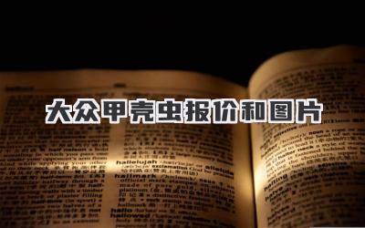大众甲壳虫报价和图片