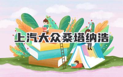 上汽大众桑塔纳浩