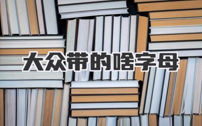 大众带的啥字母