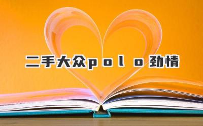 二手大众polo劲情