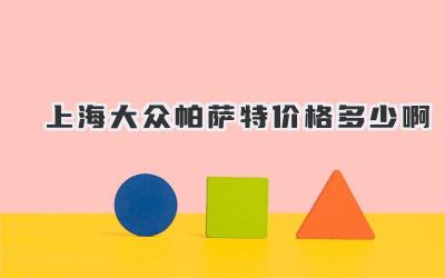 上海大众帕萨特价格多少啊