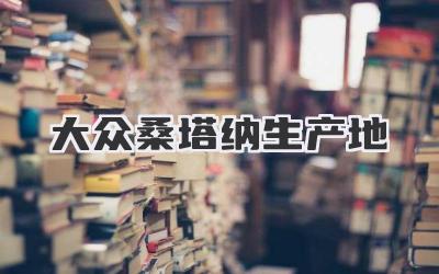 大众桑塔纳生产地