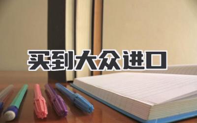 买到大众进口