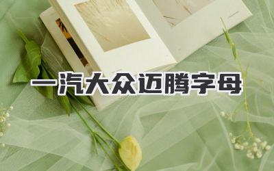 一汽大众迈腾字母