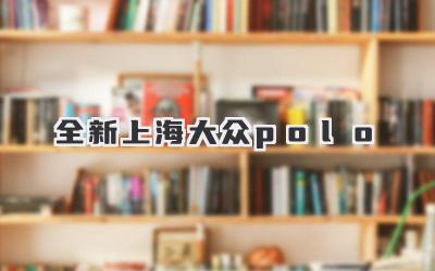 全新上海大众polo