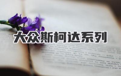 大众斯柯达系列