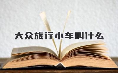 大众旅行小车叫什么