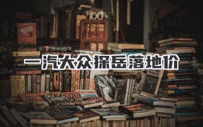 一汽大众探岳落地价