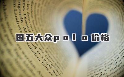 国五大众polo价格