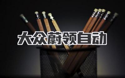 大众蔚领自动