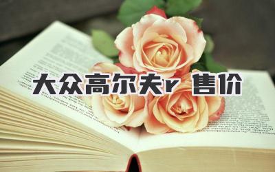 大众高尔夫r售价