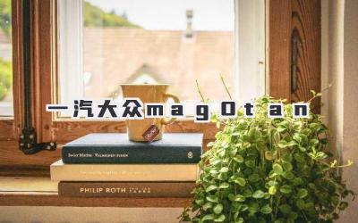 一汽大众mag0tan