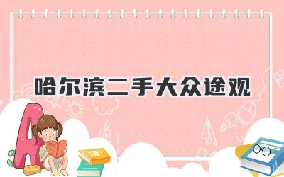 哈尔滨二手大众途观