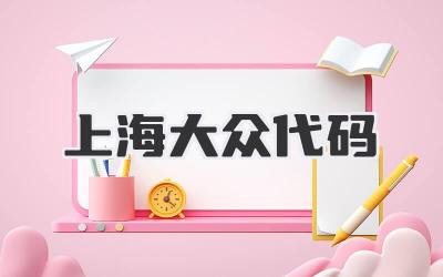上海大众代码