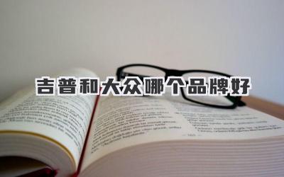 吉普和大众哪个品牌好