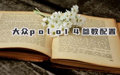 大众polo1.4参数配置