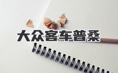 大众客车普桑