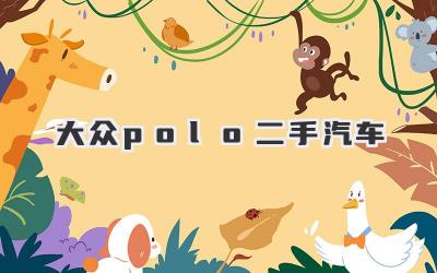 大众polo二手汽车