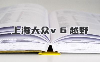 上海大众v6越野