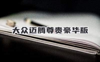 大众迈腾尊贵豪华版