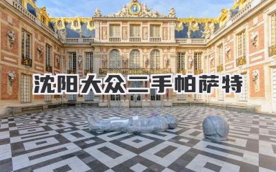 沈阳大众二手帕萨特
