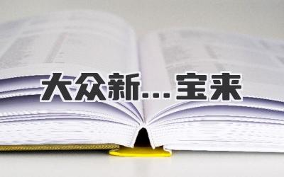 大众新…宝来