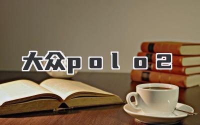大众polo2