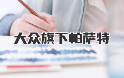 大众旗下帕萨特