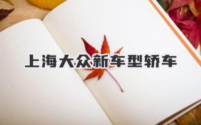上海大众新车型轿车