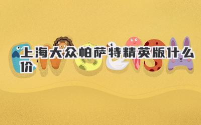 上海大众帕萨特精英版什么价