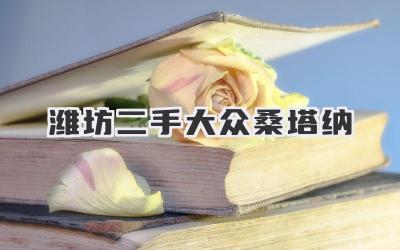 潍坊二手大众桑塔纳