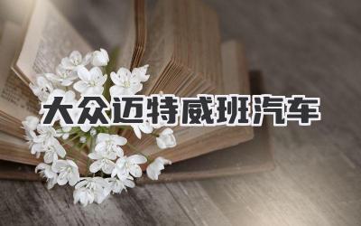 大众迈特威班汽车