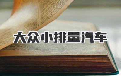 大众小排量汽车