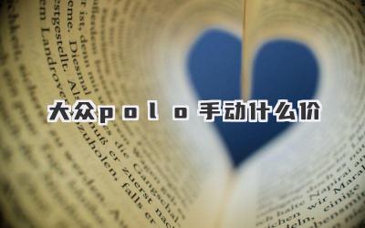 大众polo手动什么价
