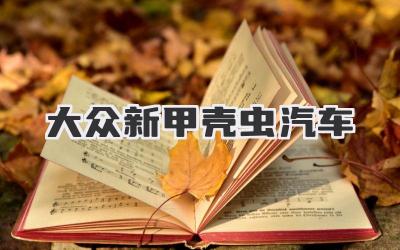 大众新甲壳虫汽车