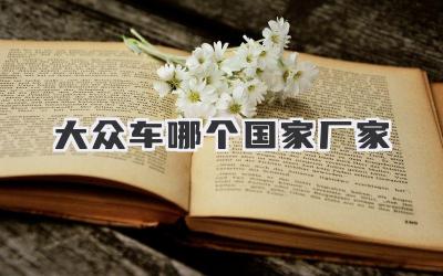 大众车哪个国家厂家